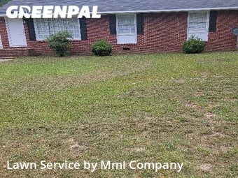 Yard Cutting nearby Fayetteville, NC, 