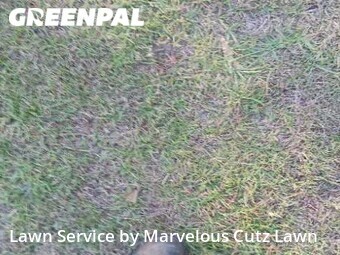 Lawn Maintenance nearby Columbia, SC, 