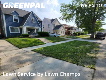 Grass Cut nearby Toledo, OH, 