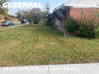 Grass Cuttingin Pasadena,77502,Lawn Service by J.A Lawn Service, work completed in Nov , 2025