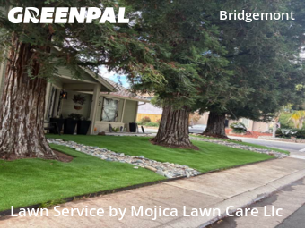 the-yard-cutting-businesses-in-Yuba City-CA
