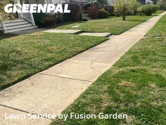 Lawn Cut nearby Kensington, MD, 