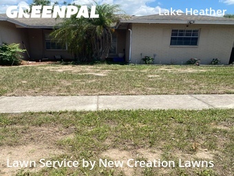 Lawn Mowing nearby Brandon, FL, 