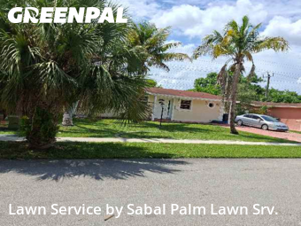 Lawn Upkeep in North Lauderdale, 33068, Yard Work by Sabal Palm Lawn Srv., work completed in Nov , 2025
