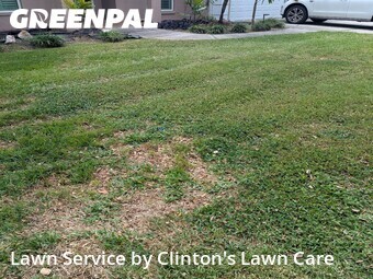 Yard Mowing nearby Seminole, FL, 