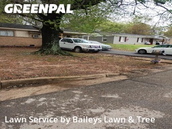 Yard Cutting nearby Tyler, TX, 