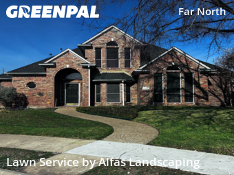 Lawn Maintenancein Dallas,75287,Lawn Cutting by Alfas Landscaping, work completed in Feb , 2026