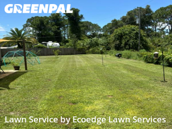 Grass Cut nearby Palm Bay, FL, 