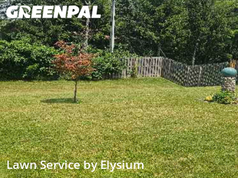 Grass Cut nearby Lafayette, IN, 