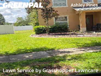 Lawn Care nearby Wesley Chapel, FL, 