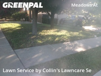 Lawn Cut nearby Del Valle, TX, 