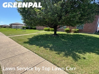 Grass Cutin Lancaster,75134,Yard Mowing by Top Lawn Carr, work completed in Jun , 2026