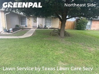 Yard Cutting nearby San Antonio, TX, 