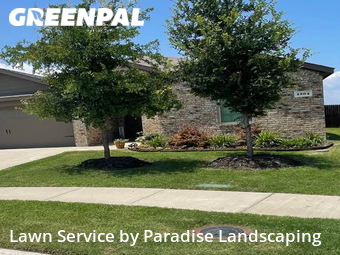 Lawn Maintenance nearby Princeton, TX, 