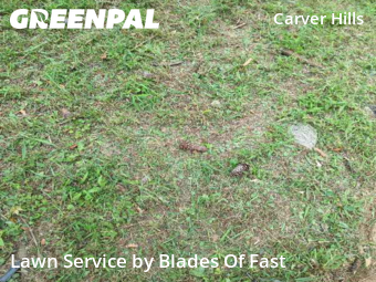 Lawn Cut nearby Atlanta, GA, 