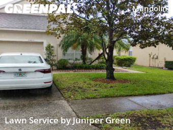 Lawn Care nearby Tampa, FL, 