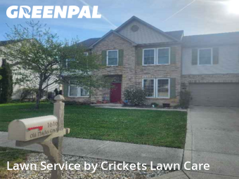 Lawn Mow nearby Greenwood, IN, 