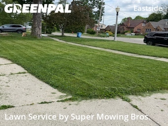 Grass Cut nearby Lansing, MI, 