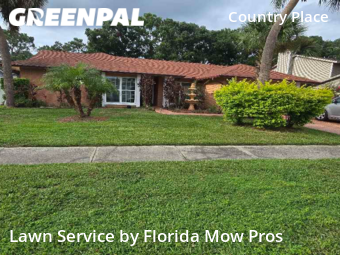 Lawn Cut nearby Tampa, FL, 