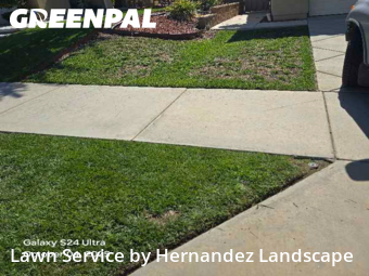 Work completed by grass-cutting-businesses-in-Lake Elsinore-CA