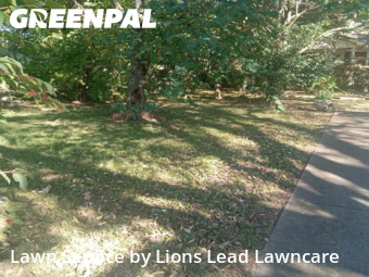 Grass Cutin Smyrna,37167,Lawn Mow by Lions Lead Lawncare , work completed in Nov , 2025