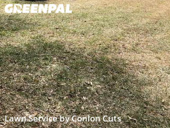 Lawn Care nearby Bradenton, FL, 