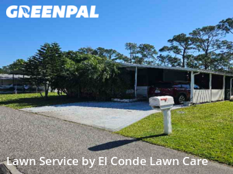 Lawn Cut nearby Kissimmee, FL, 