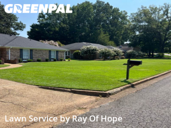 Yard Mowing nearby Tuscaloosa, AL, 