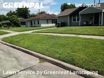 Grass Cut nearby Houston, TX, 