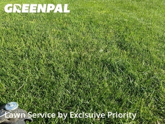 Lawn Service nearby West Chester Township, OH, 