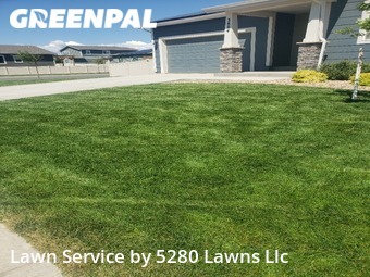 Yard Cutting nearby Wellington, CO, 