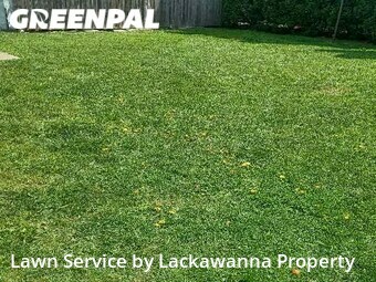 Lawn Cutting nearby Scranton, PA, 