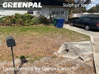 Lawn Maintenance nearby Tampa, FL, 