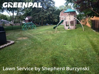 Grass Cut nearby Downers Grove, IL, 