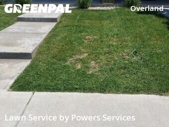 Lawn Cut nearby Denver, CO, 