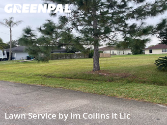 Lawn Cutting nearby Palm Bay, FL, 