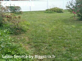 Yard Mowing nearby Virginia Beach, VA, 