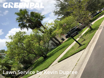 Grass Cut nearby Lutz, FL, 