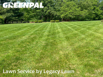 Yard Cutting nearby Louisville, KY, 