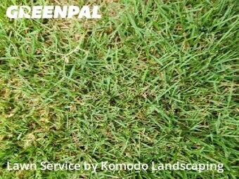 Lawn Cutting nearby Cumming, GA, 