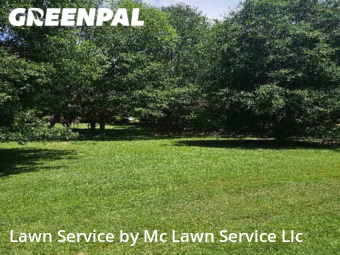 Grass Cut nearby Madison, MS, 