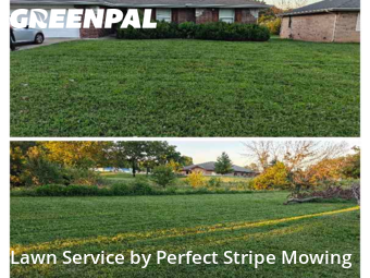 Lawn Cutting nearby Springfield, MO, 