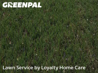 Grass Cutting nearby Port St. Lucie, FL, 