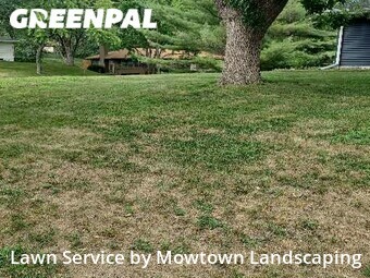 Lawn Cut nearby Bloomington, MN, 