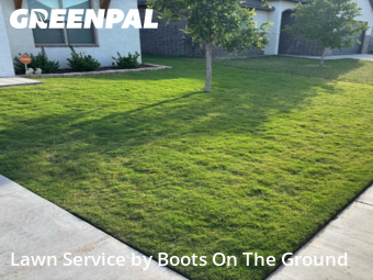 Grass Cut nearby Wolfforth, TX, 