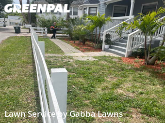 Lawn Cut nearby Daytona Beach, FL, 