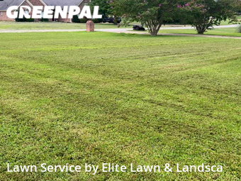 Lawn Mowing Service nearby Collierville, MS, 