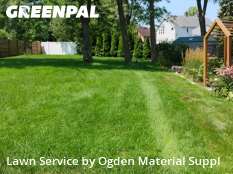Lawn Mowing Service nearby Elmhurst, IL, 