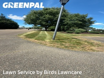 Lawn mowed in Harrisonburg, 22801