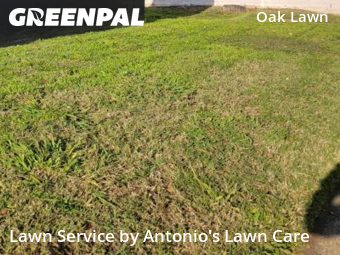Landscaping Renovation In Dallas,75219,Landscaping Installation by Antonio's Lawn Care, work completed in Dec , 2025